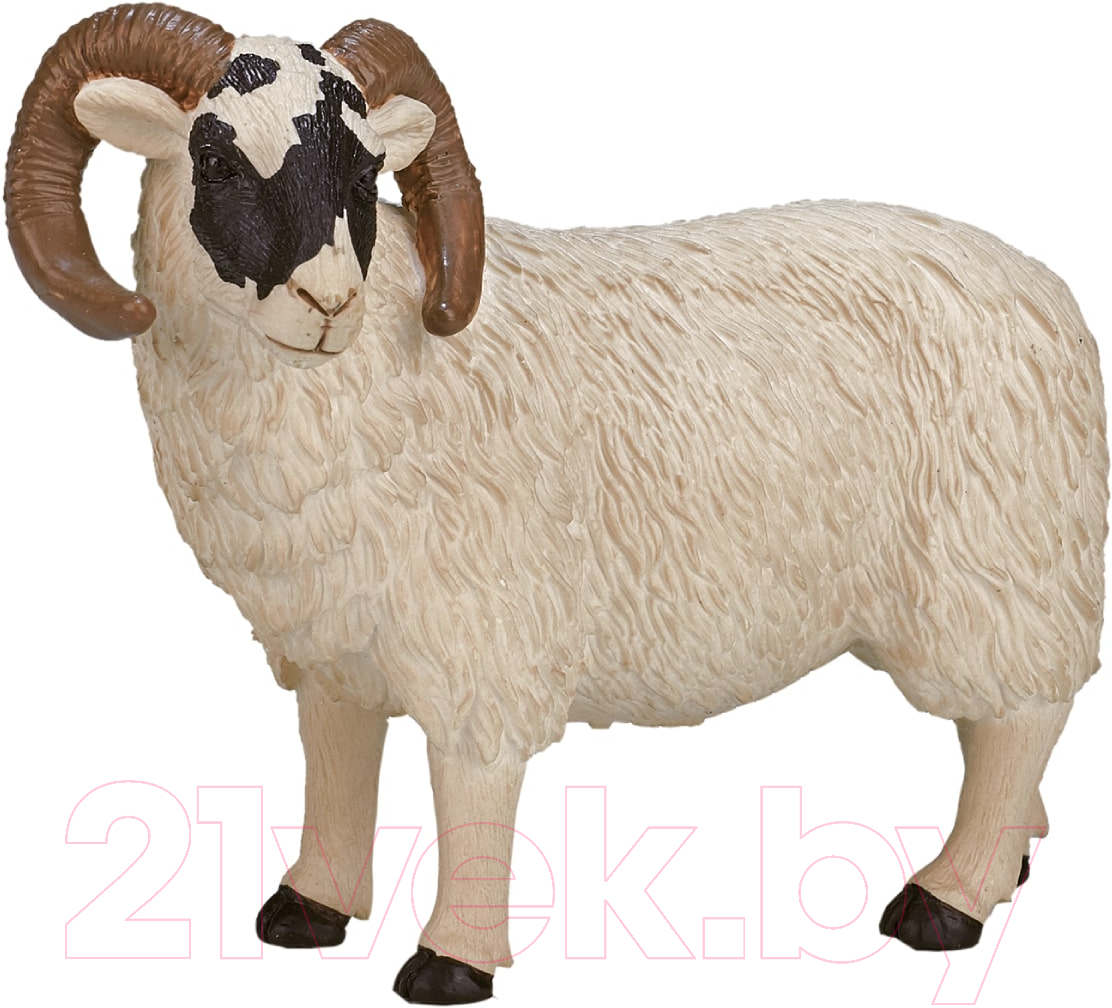 Фигурка игровая Konik Шотландский черноголовый баран / AMF1030 — фото 2