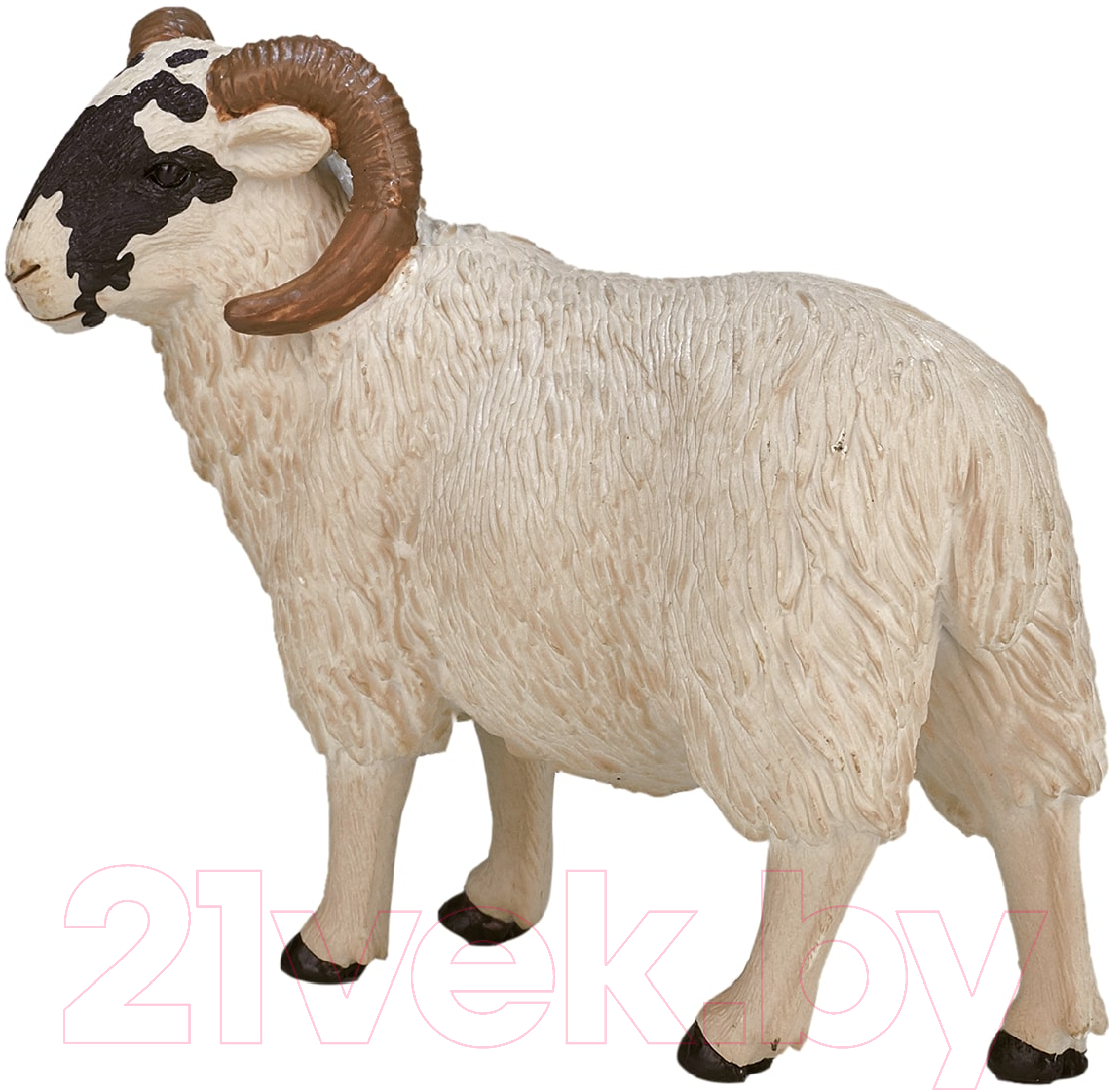 Фигурка игровая Konik Шотландский черноголовый баран / AMF1030 — фото 3