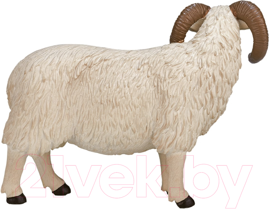 Фигурка игровая Konik Шотландский черноголовый баран / AMF1030 — фото 4