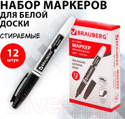 Набор маркеров Brauberg 880461 (12шт, черный)