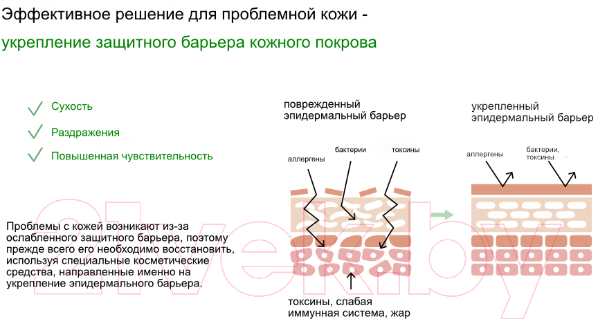 Сыворотка для лица Neulii Cicapepta Repair С центеллой азиатской