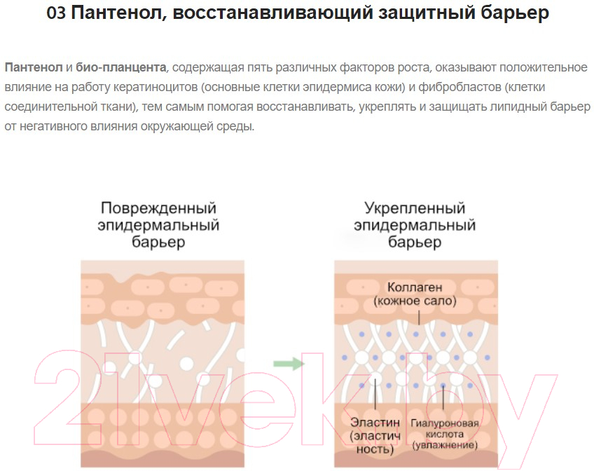 Сыворотка для лица Neulii Cicapepta Repair С центеллой азиатской