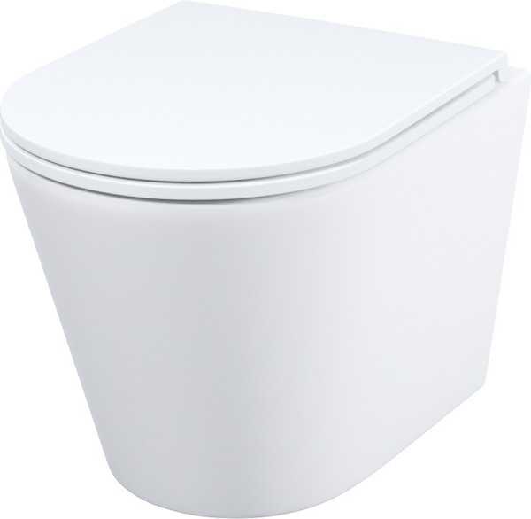 Купить Унитаз подвесной IDDIS Calipso CALRNSEi25 в Солигорске