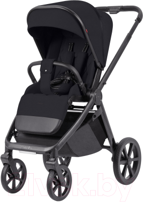 Детская универсальная коляска Carrello Omega Plus 3 в 1 / CRL-6545 (Cosmo Black)