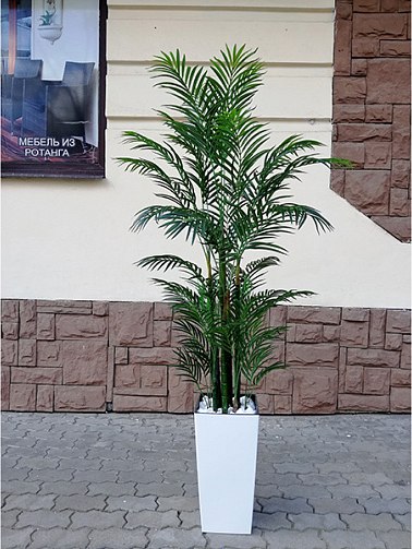 Искусственное растение ForGarden Пальма Арека 150 в белом горшке BN10902