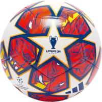 Футбольный мяч Adidas UCL Training / IN9332 (размер 5) - 