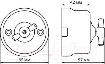 Выключатель TDM Болонь SQ1820-0011 (белый)