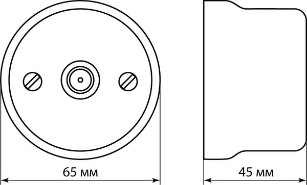 Розетка TDM Болонь SQ1820-0253 (черный)