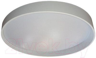 Потолочный светильник BSI С МК3089-50 120 (белый)