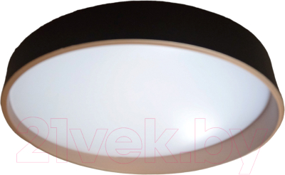 Потолочный светильник BSI С МК3089-50 120 (черный/матовое золото)