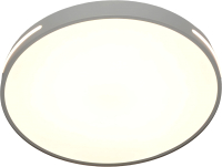Потолочный светильник BSI С МК6994-50 120 (белый) - 
