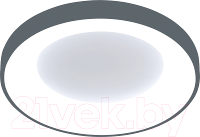 Потолочный светильник BSI С МК7426-50 87 (черный/белый)