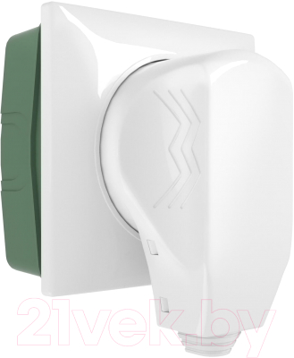 Розетка Werkel W1189201 с вилкой (белый)