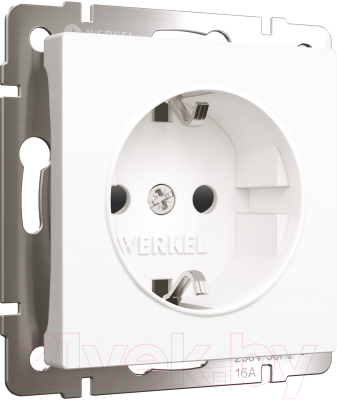 Розетка Werkel W1171161 (белый матовый)