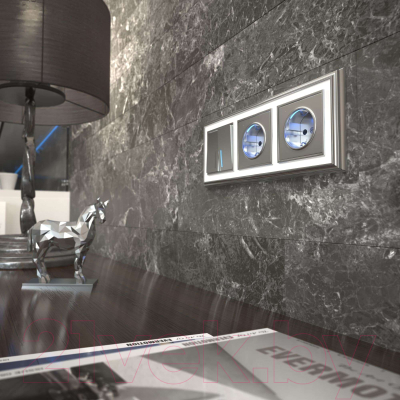 Изображение товара Розетка Werkel W1171406 (серебряный)