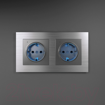 Изображение товара Розетка Werkel W1171406 (серебряный)