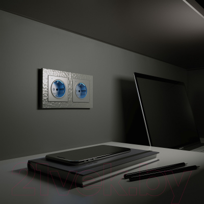 Изображение товара Розетка Werkel W1171406 (серебряный)