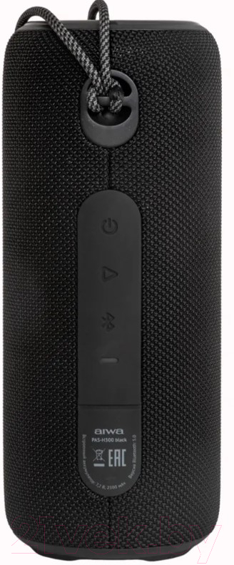 Портативная колонка Aiwa PAS-H300 (черный) — фото 2