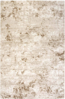 Ковровая дорожка Radjab Carpet Портфолио 02857B / 8642RK (1.2x25, Cream/Vizon) - 