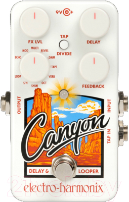 Педаль электрогитарная Electro-Harmonix Canyon Delay and Looper