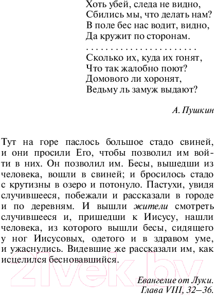 Художественная книга Эксмо Бесы / 9785041992538 (Достоевский Ф.М.) — фото 4