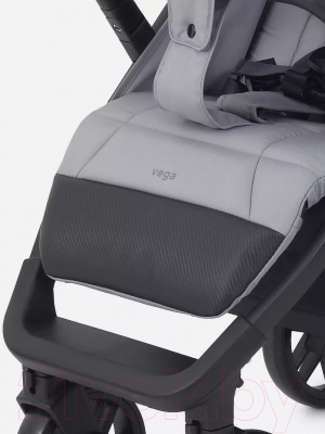 Детская прогулочная коляска Rant Basic Vega 2024 / RA105 (серый)