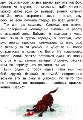 Книга АСТ Один дома / 9785171544881 (Киселев С.С., Лисицкая А.Ю.)