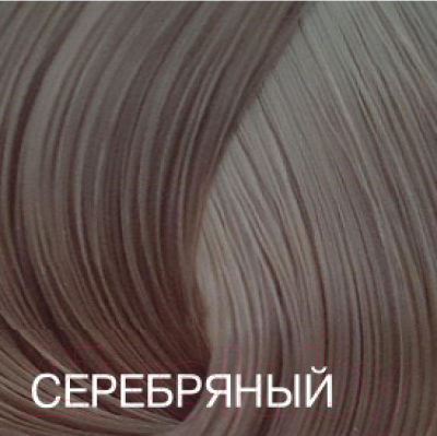 Крем-краска для волос Bouticle Expert Color (100мл, серебристый)