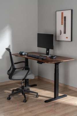 Купить Подстолье Ergosmart Ergo Desk Prime в Молодечно