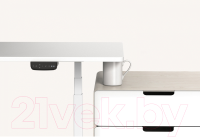 Купить Подстолье Ergosmart Ergo Desk Prime в Молодечно