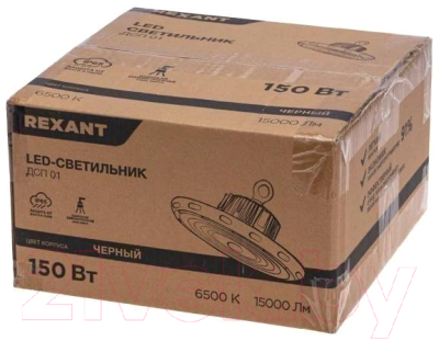 Светильник ЖКХ Rexant 607-298