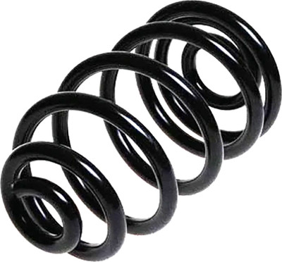 

Пружина подвески, 4204246