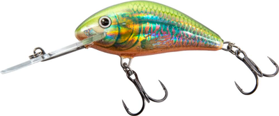 Воблер Salmo Hornet Floating Holo Oikawa / QHT1016 -