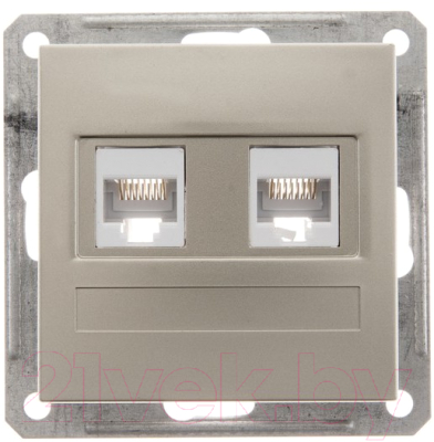 Розетка Systeme (Schneider) Electric W59 RSI-251KK5E-4-86