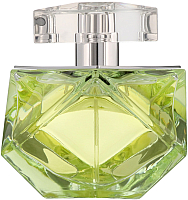 Парфюмерная вода Britney Spears Believe (50мл) - 