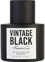 Туалетная вода Kenneth Cole Black Vintage (100мл) - 