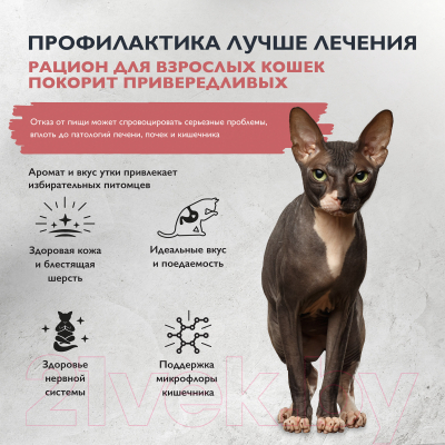 Сухой корм для кошек Brit Care Cat Adult Delicious Taste с индейкой и уткой / 5066087 (1.5кг)