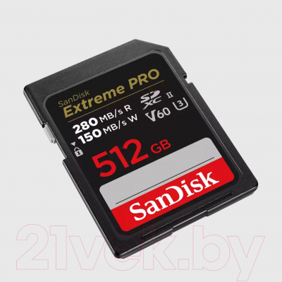 Карта памяти SanDisk Micro SDXC 512GB UHS-II (SDSDXEP-512G-GN4IN)