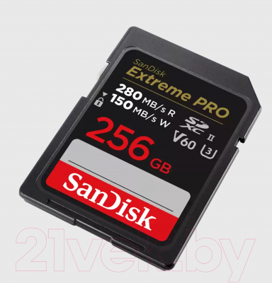 Карта памяти SanDisk Micro SDXC 256GB UHS-II (SDSDXEP-256G-GN4IN)