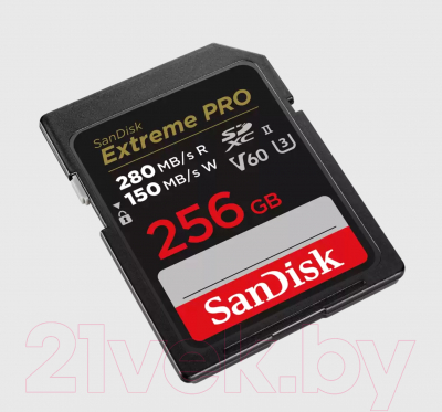 Карта памяти SanDisk Micro SDXC 256GB UHS-II (SDSDXEP-256G-GN4IN)