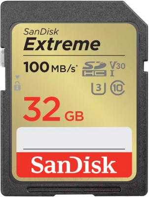 Карта памяти SanDisk Micro SDHC 32GB UHS-I (SDSDXVT-032G-GNCIN)