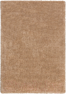 Коврик Radjab Carpet Паффи Шагги Прямоугольник 4273RK (0.8x1.5, Vizon)