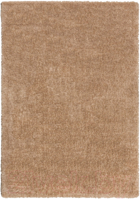 Ковер Radjab Carpet Паффи Шагги Прямоугольник P001A /  4281RK (2.4x3.4, Vizon)