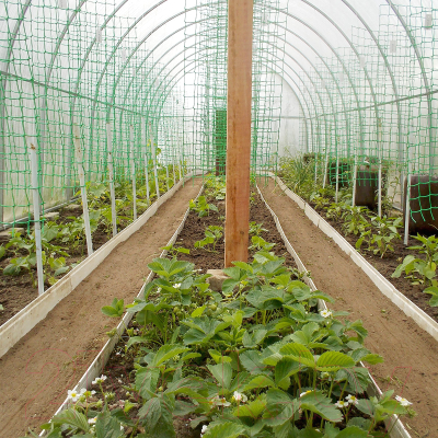 Сетка садовая ХозАгро Шпалерная 2х5м для вьющихся растений