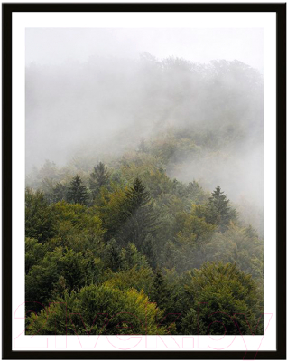 Картина Мирам Природа. Туманный лес / 240501803 (40x50)