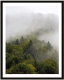 Картина Мирам Природа. Туманный лес / 240501803 (40x50) - 