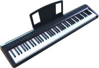 Цифровое фортепиано Aramius APS-110 BK - 