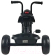 Миниатюра изображения товара Трехколесный велосипед Chopper CH2B