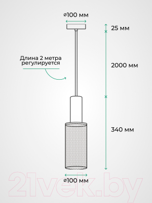 Потолочный светильник Truenergy 21405