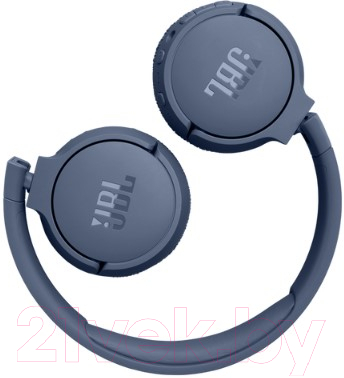 Беспроводные наушники JBL Tune 670NC / T670NCBLU (синий)